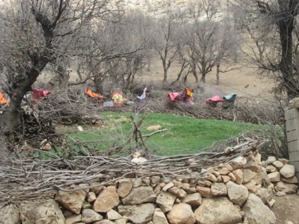 تصاويري از خانه تکانی به سبک روستا ها در ديشموك