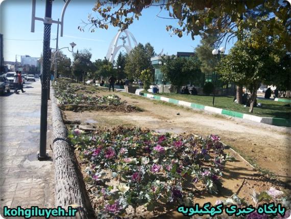 کاشت گل های زیبا در پارک مرکزی دهدشت+ تصاویر