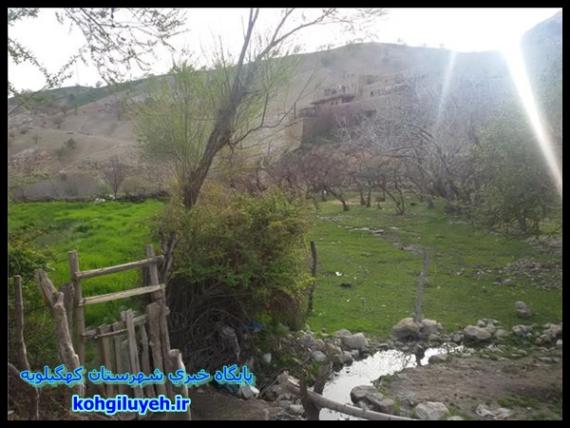 قلعه تاریخی دیشموک و طبیعت زیبای اطرف قلعه + تصاویر/پایگاه خبری کهگیلویه