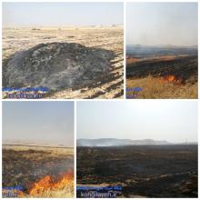 آتش سوزی وسیع اطراف شهر دهدشت/پایگاه خبری شهرستان کهگیلویه